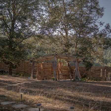 Nayalap - Rural Himalayan Glamping Ξενοδοχείο Shitlakhet Εξωτερικό φωτογραφία